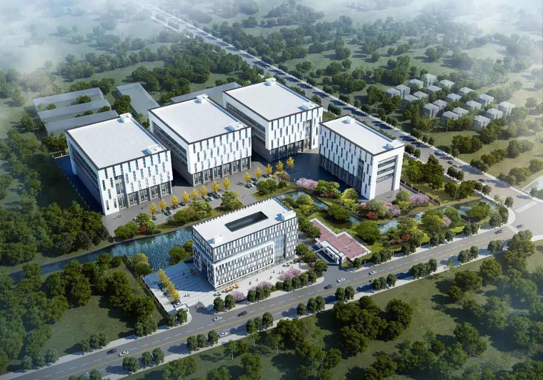 mmexport1671087055878.jpg 圖片